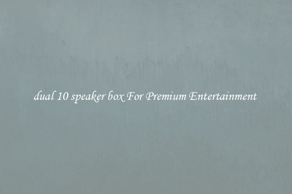 dual 10 speaker box For Premium Entertainment 