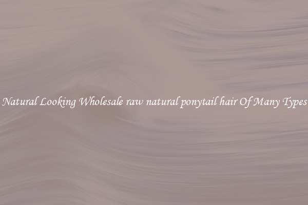 Natural Looking Wholesale raw natural ponytail hair Of Many Types