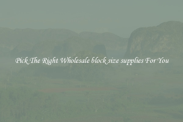 Pick The Right Wholesale block size supplies For You