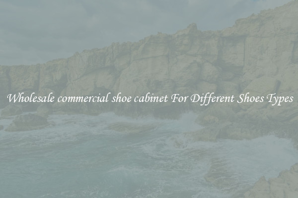 Wholesale commercial shoe cabinet For Different Shoes Types