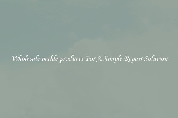 Wholesale mahle products For A Simple Repair Solution