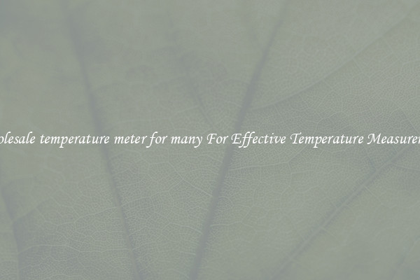 Wholesale temperature meter for many For Effective Temperature Measurement
