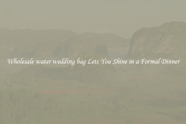 Wholesale water wedding bag Lets You Shine in a Formal Dinner