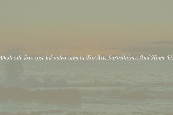 Wholesale low cost hd video camera For Art, Survellaince And Home Use