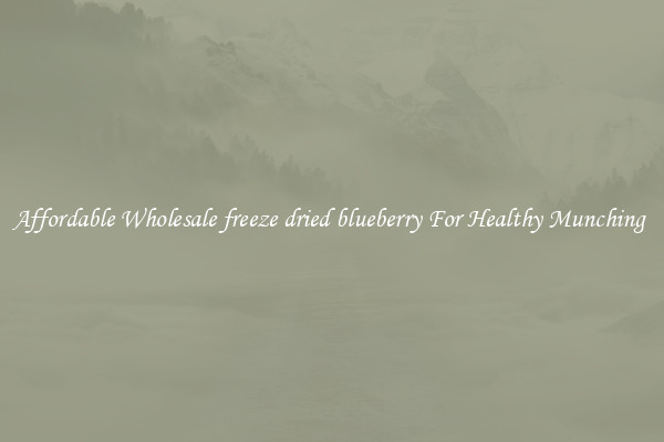 Affordable Wholesale freeze dried blueberry For Healthy Munching 