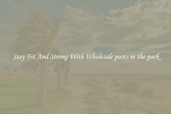 Stay Fit And Strong With Wholesale posts in the park