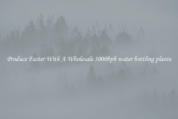 Produce Faster With A Wholesale 3000bph water bottling plante