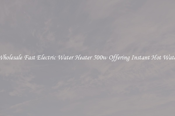 Wholesale Fast Electric Water Heater 500w Offering Instant Hot Water