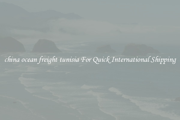 china ocean freight tunisia For Quick International Shipping