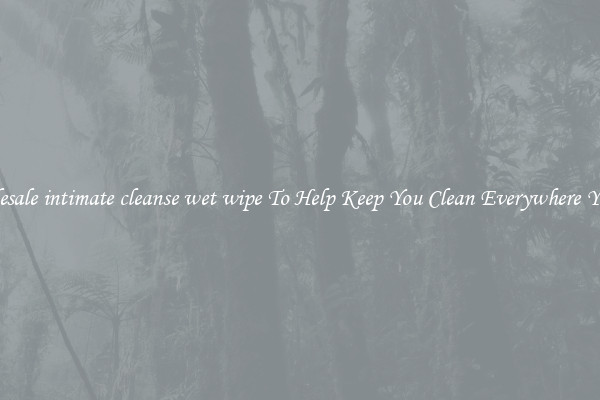 Wholesale intimate cleanse wet wipe To Help Keep You Clean Everywhere You Go