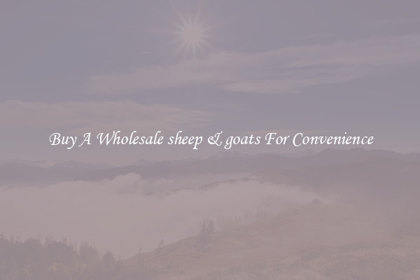 Buy A Wholesale sheep & goats For Convenience