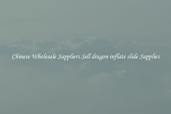 Chinese Wholesale Suppliers Sell dragon inflate slide Supplies