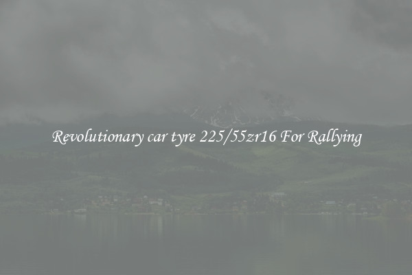 Revolutionary car tyre 225/55zr16 For Rallying