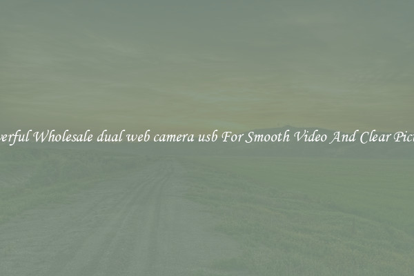 Powerful Wholesale dual web camera usb For Smooth Video And Clear Pictures