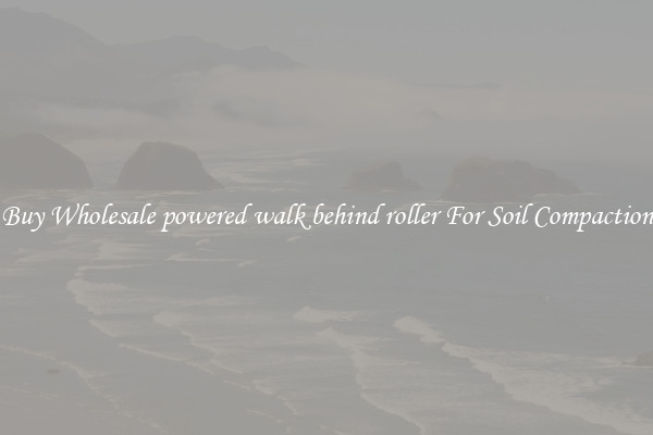 Buy Wholesale powered walk behind roller For Soil Compaction