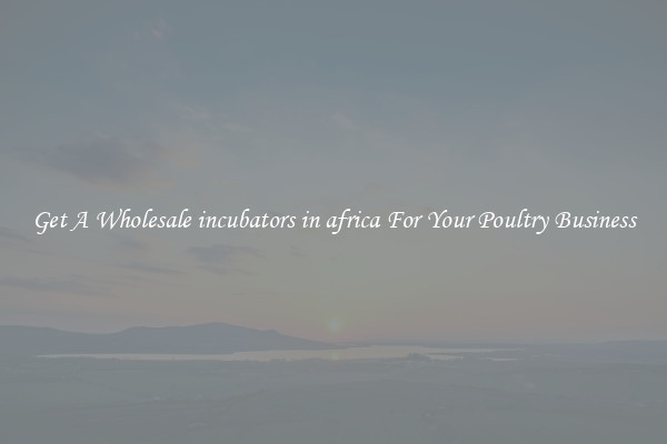 Get A Wholesale incubators in africa For Your Poultry Business